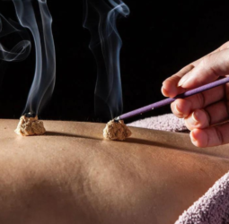 The Healing Power of Traditional Chinese Medicine